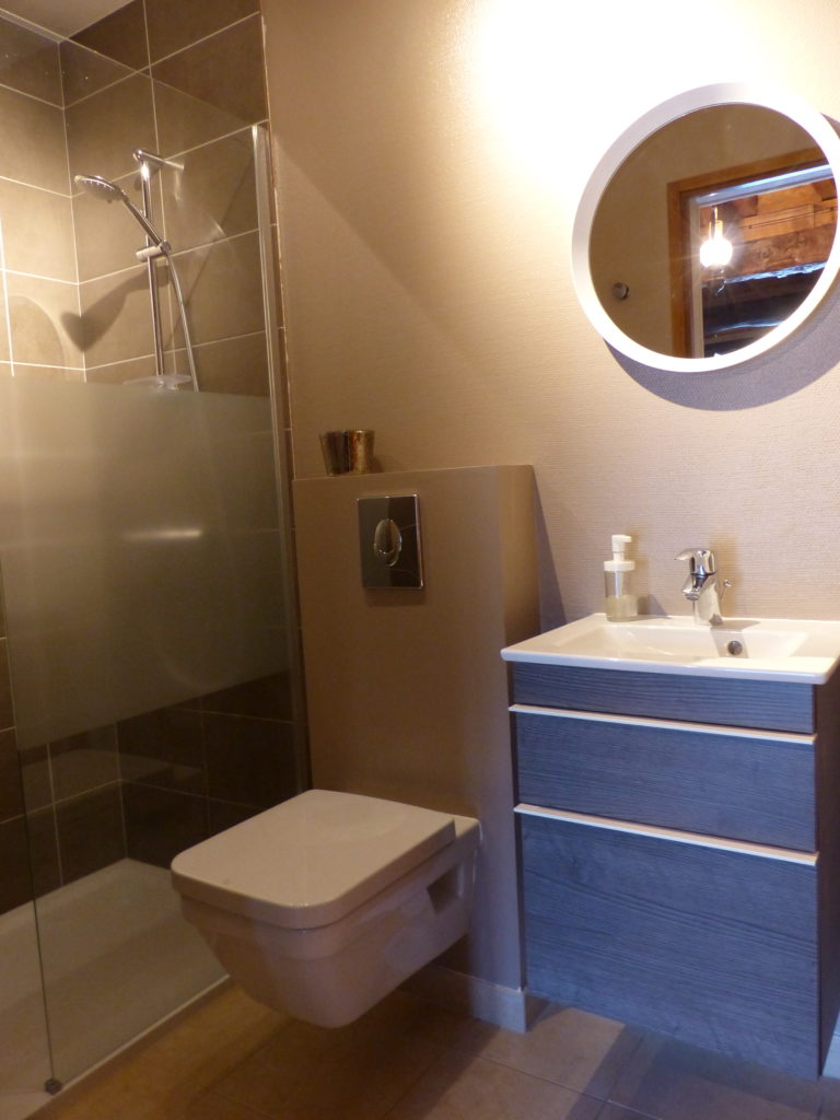 Salle d'eau composée d'une vasque, un wc et une douche